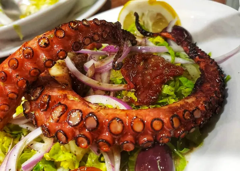 Gegrilde octopus tentakel op een salade met rode ui, citroen en gedroogde tomaat