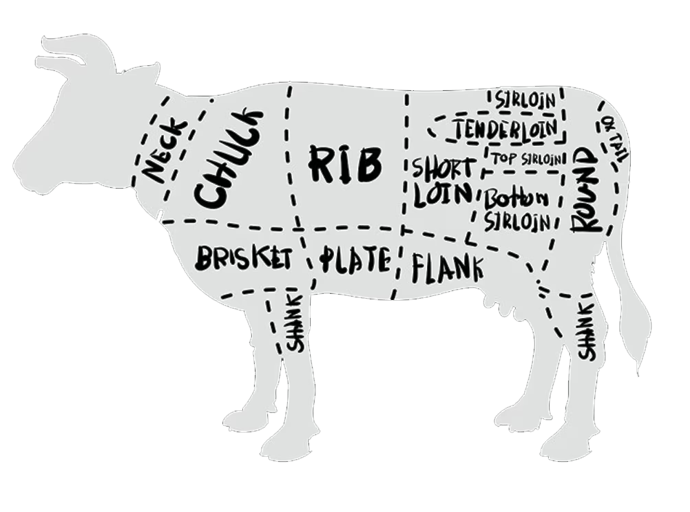 Anatomisch diagram van een rund met alle deelstukken (Neck, Chuck, Rib, Short Loin, Sirloin, Round, Brisket, Plate, Flank, Shank)