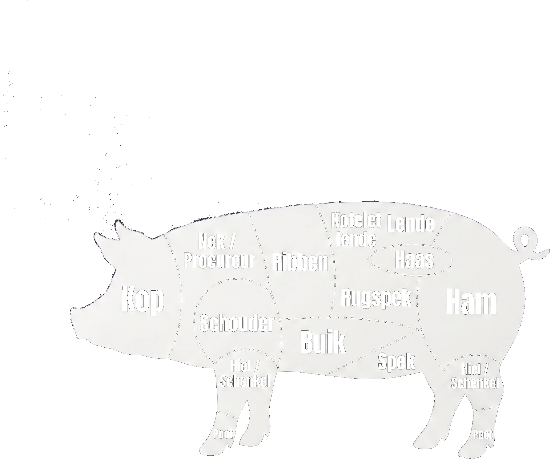 Anatomisch diagram van een varken met alle deelstukken (Boston Butt, Loin, Leg/Ham, Picnic Ham, Spare Ribs, Bacon, Hock)