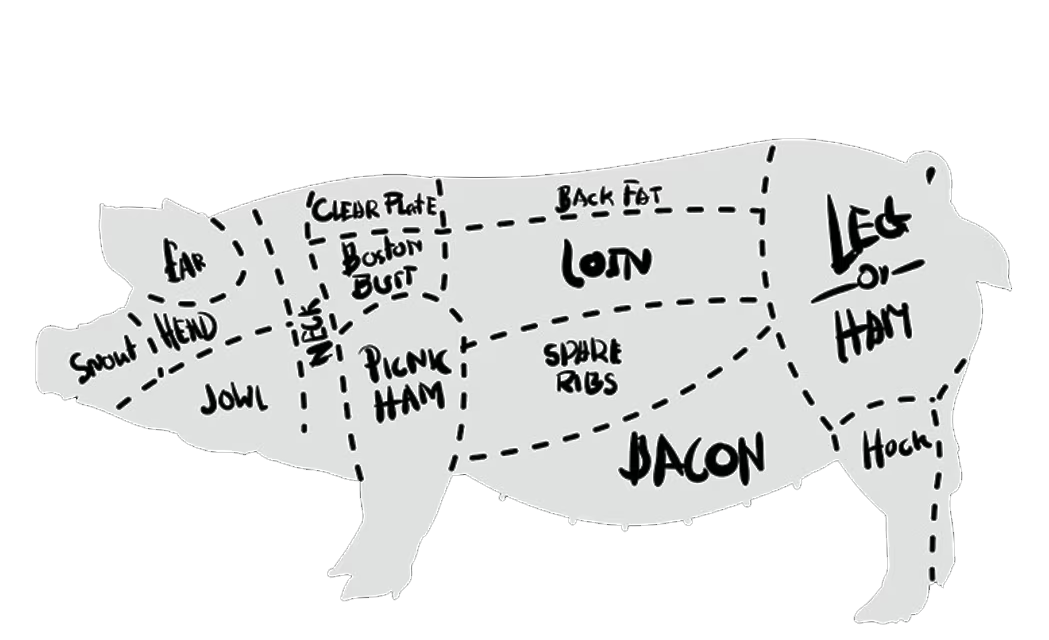 Anatomisch diagram van een varken met alle deelstukken (Boston Butt, Loin, Leg/Ham, Picnic Ham, Spare Ribs, Bacon, Hock)