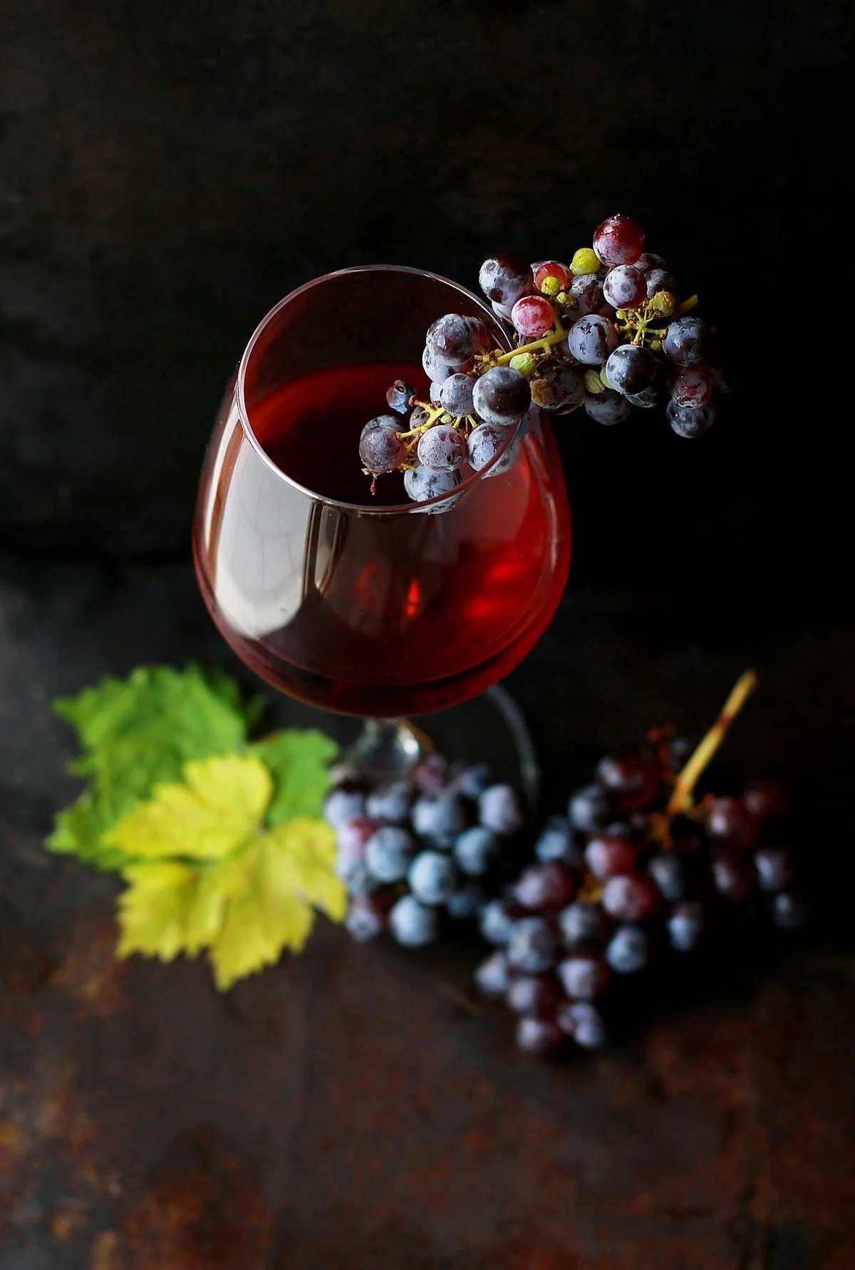 Diepe rode wijn in glas met druivenrank en blauwe druiven